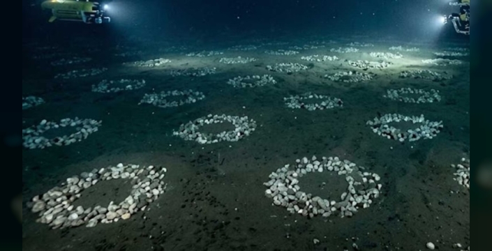 Antarktika'da devasa su altı metropolü keşfedildi: 60 milyon balık yuvası