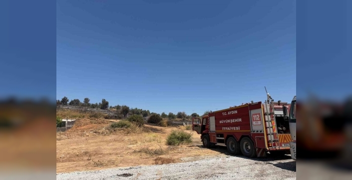Aydın'da orman yangını: Ekipler seferber oldu