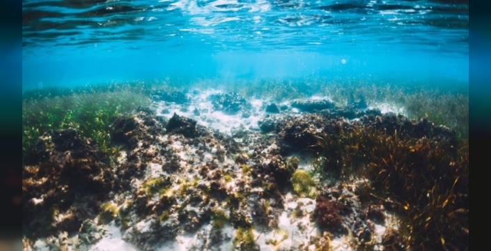 Bilim insanları, deniz suyundan insanlığın ihtiyacını karşılayacak mineral rezervi keşfetti