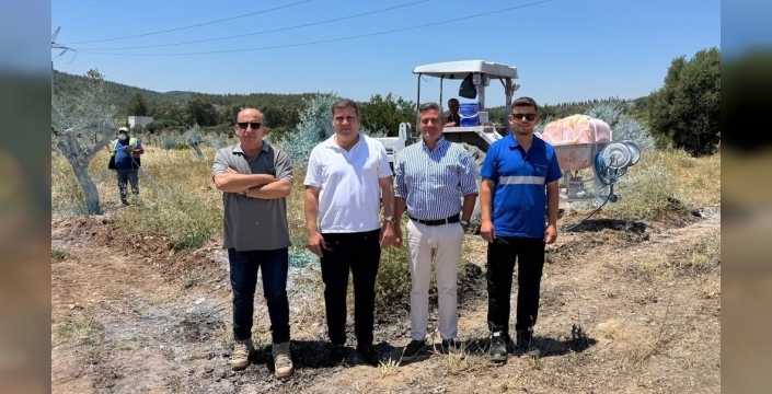 Bilimle büyüyen zeytinler, Milas'a bereket getiriyor