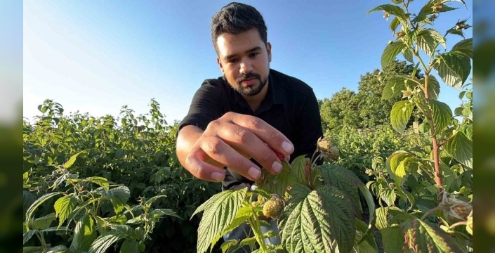 Bolu'da yenilikçi tarım: Dalından topla, tadına bak, öde!