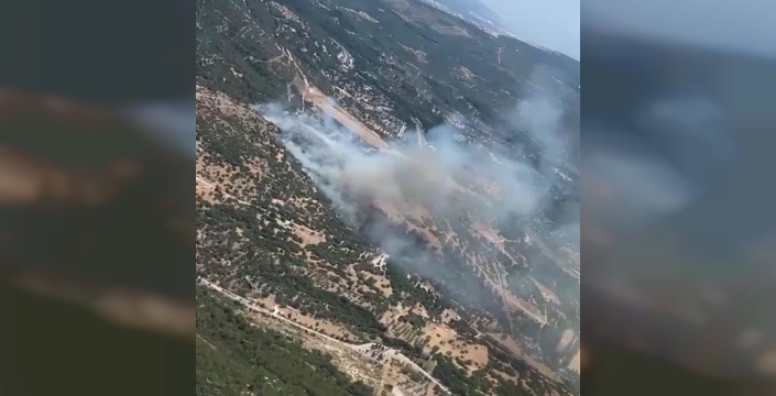Bornova alevlere teslim: Orman yangınına havadan ve karadan amansız mücadele