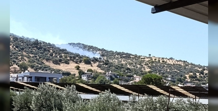 Bozdoğan'daki zirai alan yangını kontrol altına alındı