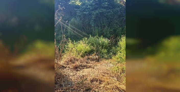 Bursa'da şarampole yuvarlanan motosikletçi kadın yaralandı