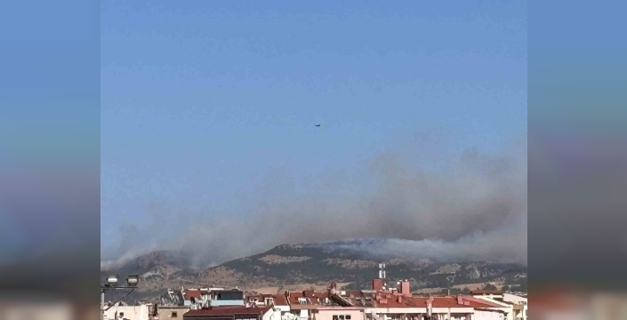 Çanakkale'deki orman yangınına müdahale devam ediyor