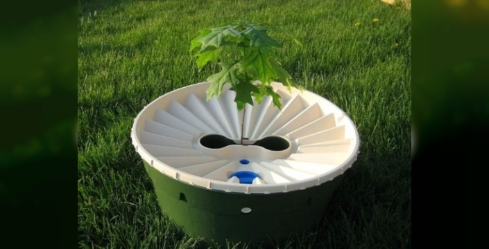 Çölü ormana dönüştüren devrimsel teknoloji: Groasis Waterboxx