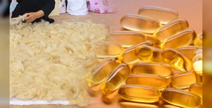 D3 vitamini şaşırtıyor: Milyonlarca kişi farkında değil, vitamin koyun yününden çıkıyor!
