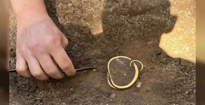 Danimarka'da Viking Çağı'na ait altın bilezikler bulundu