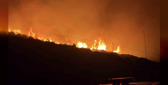 Dikili'deki makilik yangını gece yarısı kontrol altına alındı