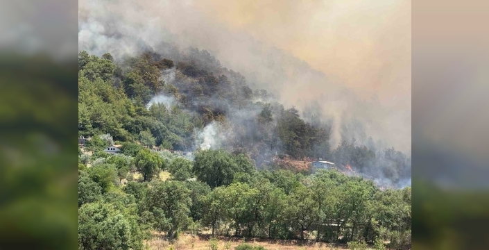 Fethiye’de orman yangınına havadan ve yerden müdahale sürüyor