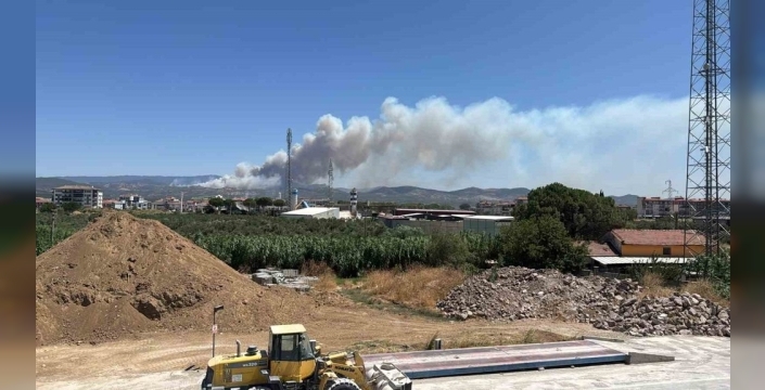 Gömeç'te orman yangınına havadan ve karadan müdahale devam ediyor