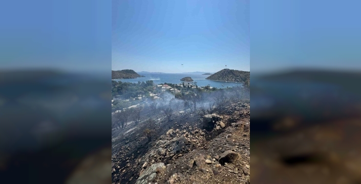 Gümüşlük'teki yangın kontrol altına alındı, rüzgar tehlike yarattı