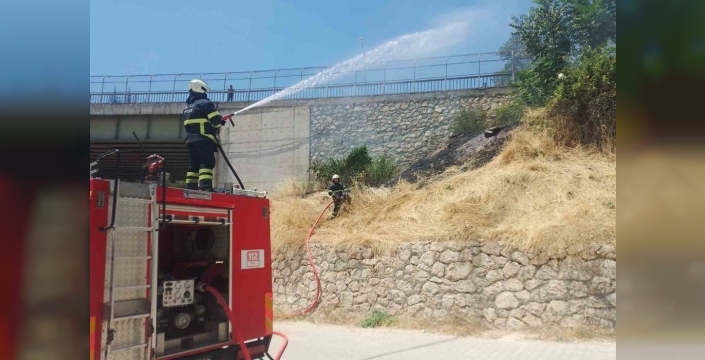 Hamsu Köprüsü yakınındaki orman yangını büyümeden söndürüldü