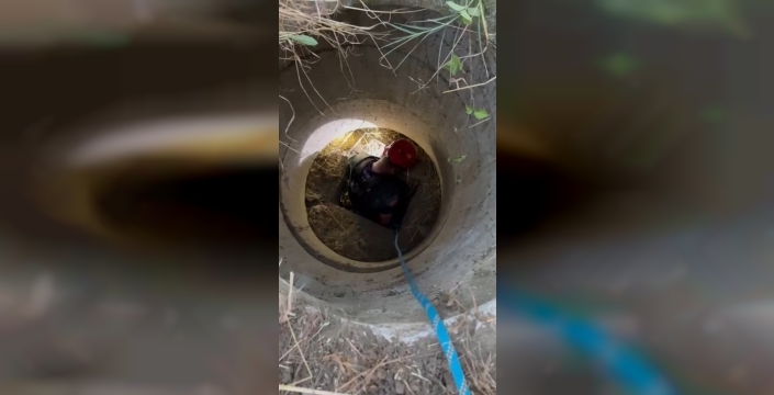 İnegöl'de rögara düşen keçi, itfaiye ekipleri tarafından kurtarıldı
