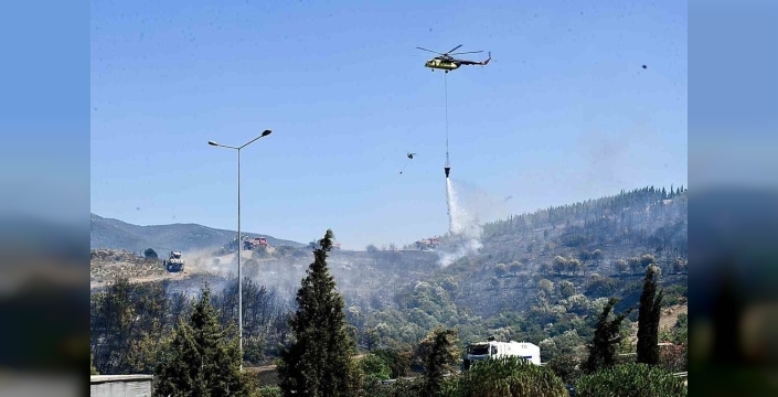İzmir İtfaiyesi'nden mucize kurtuluş: Yangında dumandan etkilenen bukalemun hayata döndürüldü