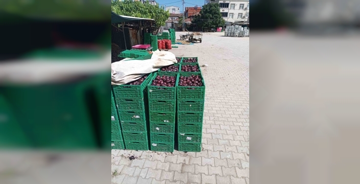Kapıdağ mor soğanı rekoltesi düştü, lezzeti daim kaldı