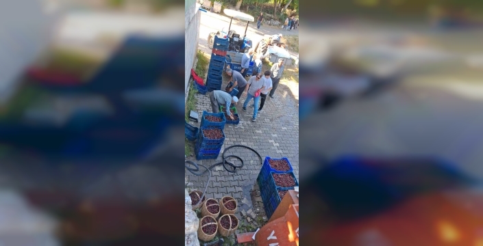 Kiraz dalda çürüyor üretici isyanda: '2024 fiyatlarını bile göremiyoruz