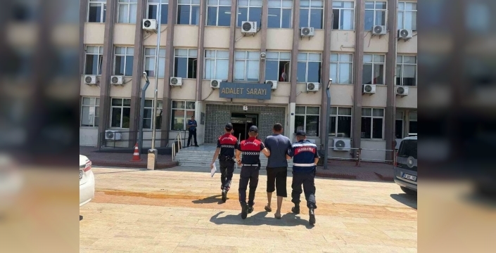 Koçarlı'da bahçeden 15 koyun çalındı: 8'i bulundu, şüpheli tutuklandı