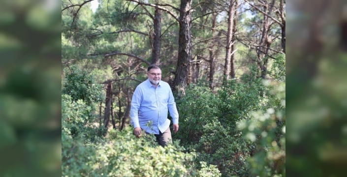 Kül olan topraklar yeniden yeşerdi: İzmir'de yangın sonrası devasa ağaçlandırma seferberliği