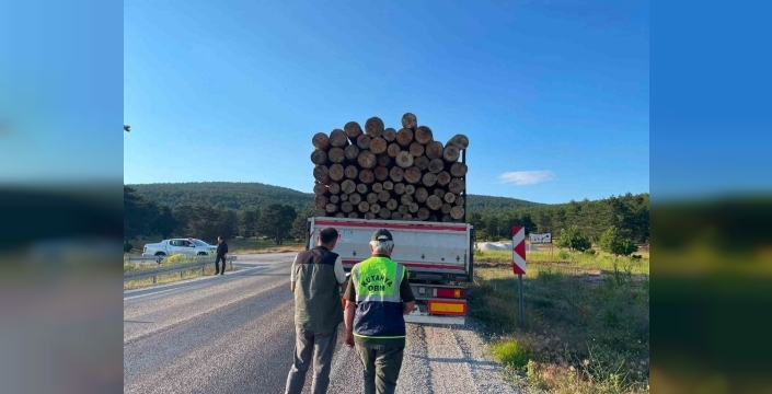 Kütahya'da orman emvali yüklü araçlara sıkı denetim uygulanıyor