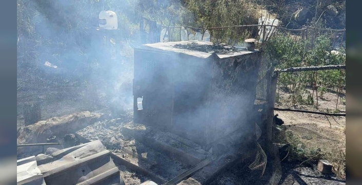 Kütahya'da yürek burkan olay: Yangın 11 paçalı güvercini hayattan kopardı