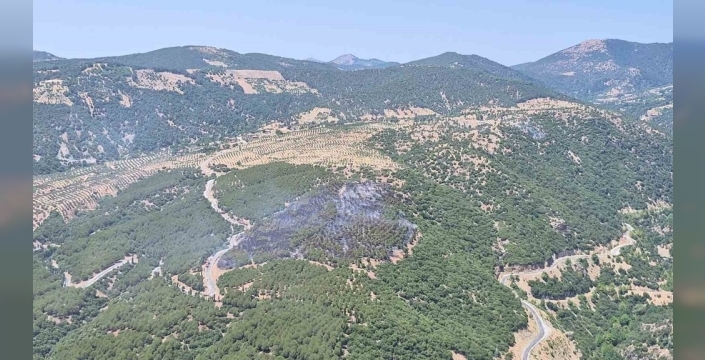 Kuyucak'ta korkutan orman yangını söndürüldü: Ekiplerin mücadelesi zaferle sonuçlandı