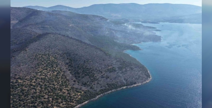 Muğla'da orman yangını, yeşil örtüyü ve maviyi yok etti