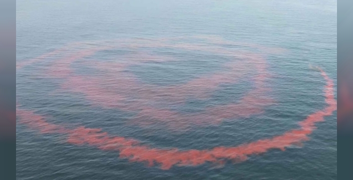 Okyanus deneyinde pembe su alarmı: 62 bin litre sodyum kostik salındı