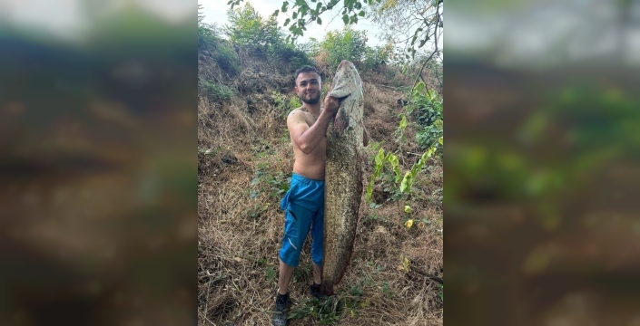 Sakarya Nehri'nden 'dev' balık çıktı: 40 kiloluk yayın görenleri şaşırttı