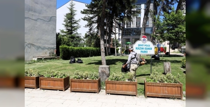 Söğüt'ün yeşil yüzü titizlikle korunuyor: Çimler biçiliyor, zararlılardan temizleniyor