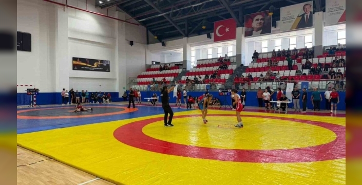 Söke'de Analig Türkiye Güreş Finalleri coşkuyla başladı