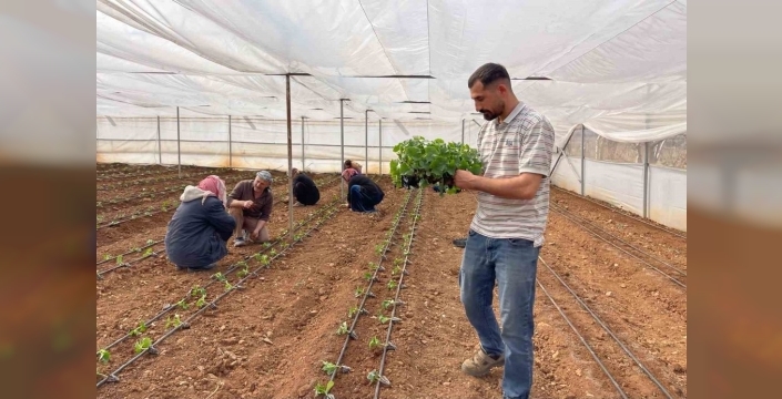 Suruç Ovası'nda sulu tarım, mevsimlik işçiliği sona erdirdi