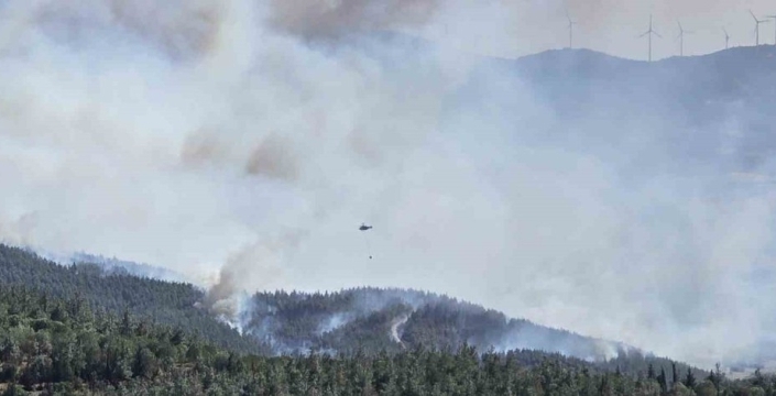 Susurluk'ta orman yangını hızla yayılıyor