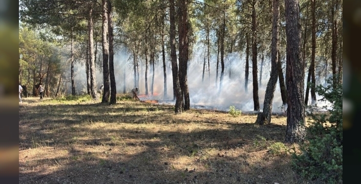 Tavşanlı ormanları alevlere teslim olmaktan kurtuldu: Erken müdahale fark yarattı