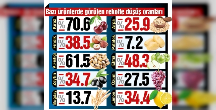 TÜİK'in rakamları bile tarımdaki krizi örtemedi: Üretimde büyük düşüş şoku!