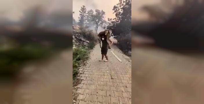 Yangından kaçarken kahramanlık: Keçiyi sırtında taşıdı!