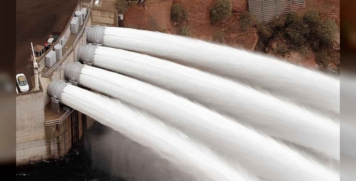 25 milyon dolarlık enerji kaybı, balıkları koruma operasyonunu etkiledi