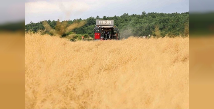 60 dönümden 500 dönüme uzanan buğday yolculuğu: Çiftçi fiyattan dertli