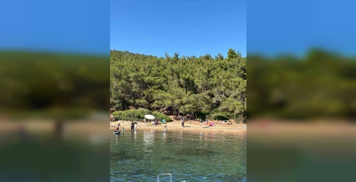 Ayvalık'ta ormanlara giriş yasak ama denetim yetersiz kalıyor