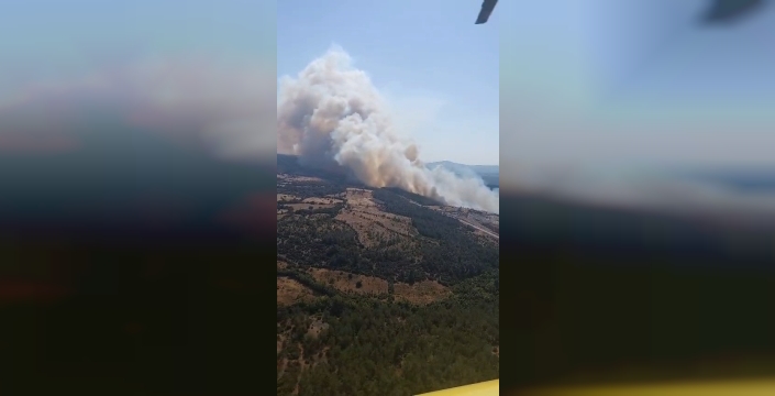 Bayramiç'te orman yangını alevlendi: Helikopterler havadan müdahale ediyor