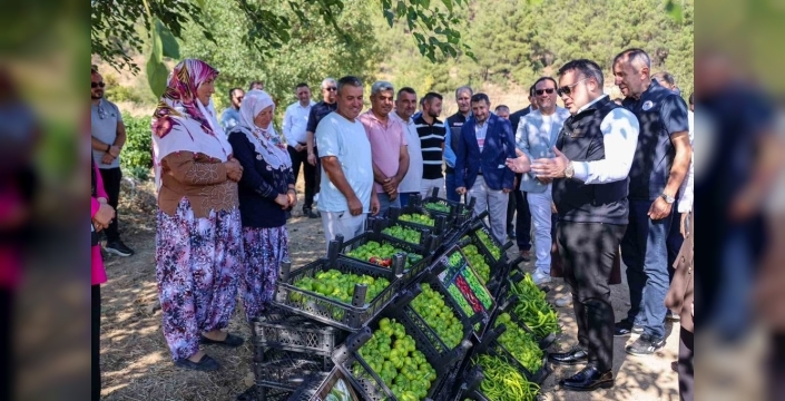 Bilecik'te coğrafi işaretli Kamber Biberi hasadı başladı
