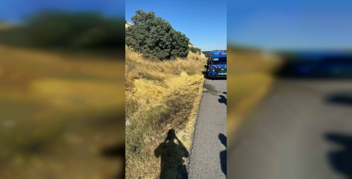 Bilecik'te sigara izmariti yangına yol açtı