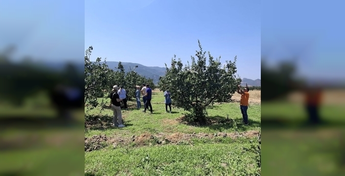 Bilecik'te tarım arazilerinde hastalık kontrolü yapıldı