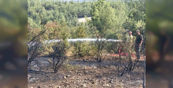 Bilecik’teki orman yangını kontrol altına alındı