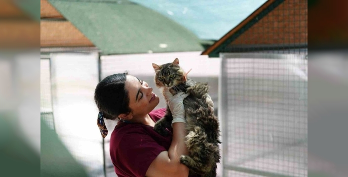 Bolu'da 8 ayda 621 kedi ve köpek sahiplendirildi