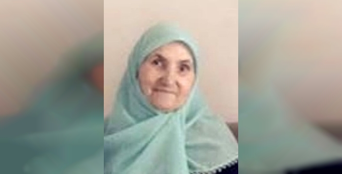 Bursa'da otomobilin çarptığı 72 yaşındaki kadın yaşamını yitirdi