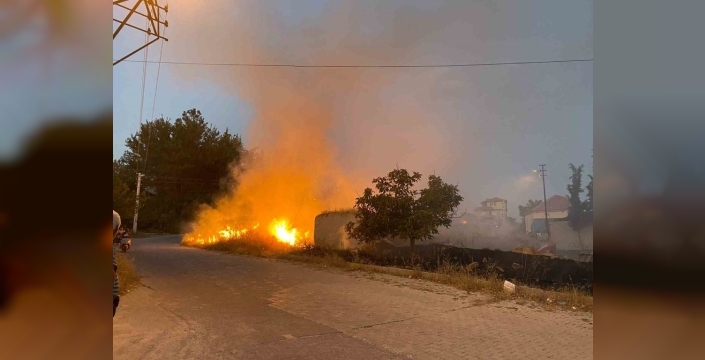 Çardak'ta yerleşim yerlerine yakın arazide yangın çıktı