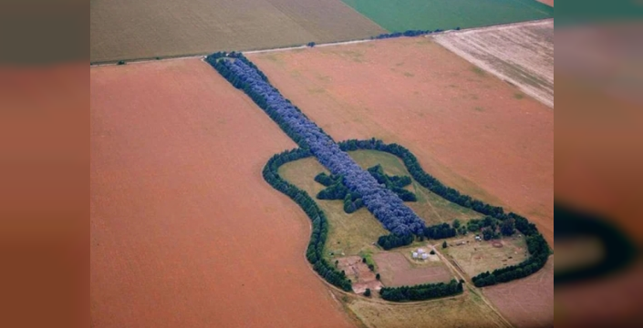 Çiftçi 7 bin ağaçla eşinin anısına dev gitar ormanı yaptı