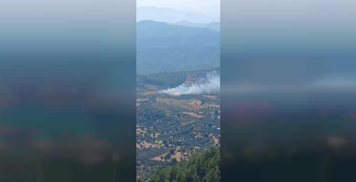 Dalaman'daki orman yangını, ekiplerin müdahalesiyle söndürüldü