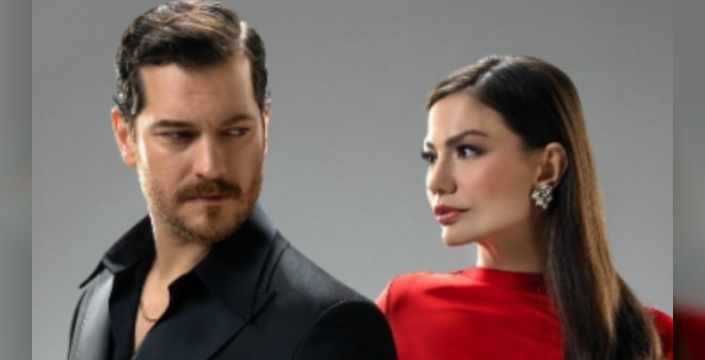 Demet Özdemir, Eşref Rüya sonrası projelere ara verdi
